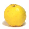 Quince 